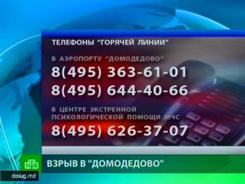 35 раненых в "Домодедово" находятся в тяжелом состоянии